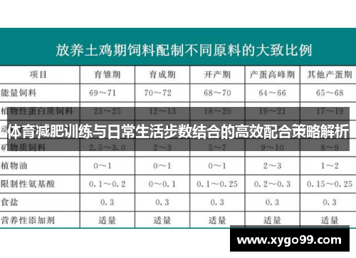 体育减肥训练与日常生活步数结合的高效配合策略解析
