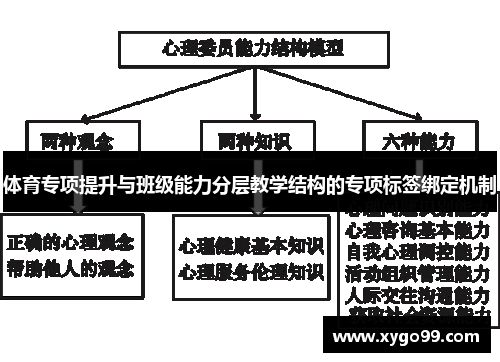体育专项提升与班级能力分层教学结构的专项标签绑定机制