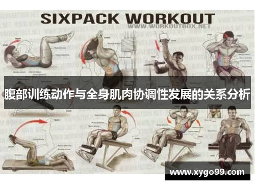 腹部训练动作与全身肌肉协调性发展的关系分析